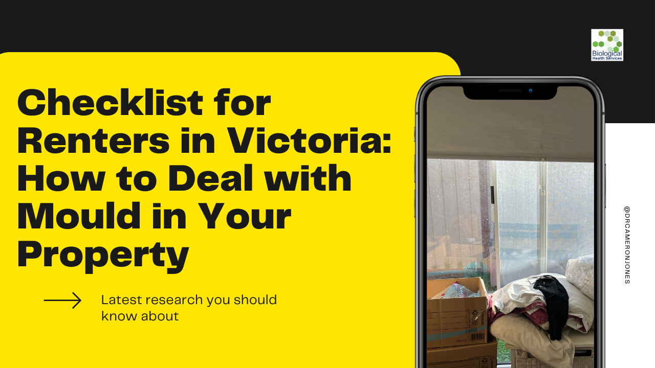 Checklist for Renters in Victoria How to Deal with Mould in Your Prop