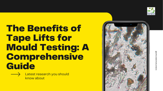 The Benefits of Tape Lifts for Mould Testing: A Comprehensive Guide