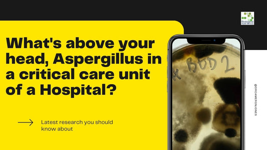 What's above your head, Aspergillus in a critical care unit of a Hospital? Could it be in your Roof cavity?