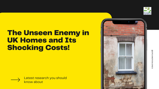 Revealed: The Unseen Enemy in UK Homes and Its Shocking Costs!