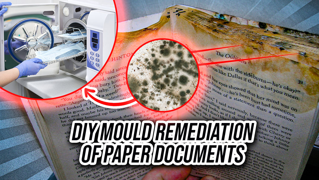 Do It Yourself Mould Remediation Of Paper Documents