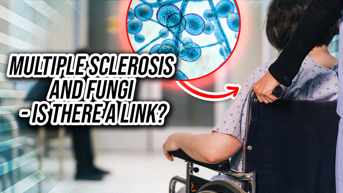 Multiple Sclerosis and fungi – is there a link?