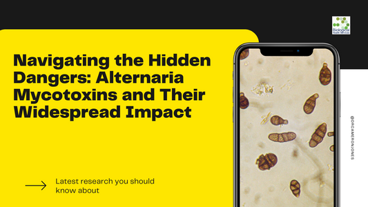 Navigating the Hidden Dangers: Alternaria Mycotoxins and Their Widespread Impact