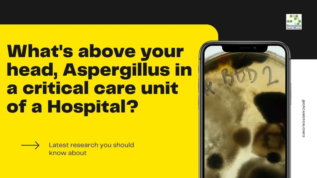 What's above your head, Aspergillus in a critical care unit of a Hospital?  Could it be in your Roof cavity?